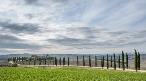 5N7A0743_blog_lg 