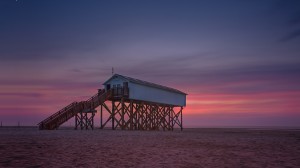 SPO Westerhever