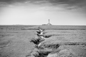 SPO Westerhever