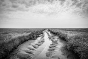 SPO Westerhever