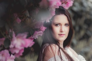 Cherry Blossoms