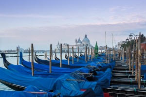 SanMarco                             