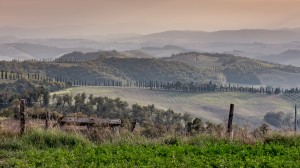 IMG_0620_blog_lg          