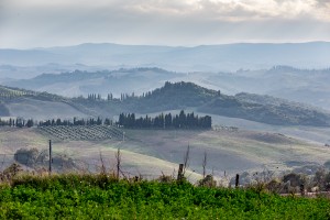 IMG_0621_blog_lg          
